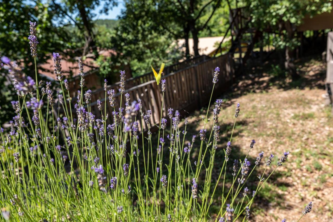 Domaine De Chalveches Hotel Spa 4* Faugeres  Luaran gambar