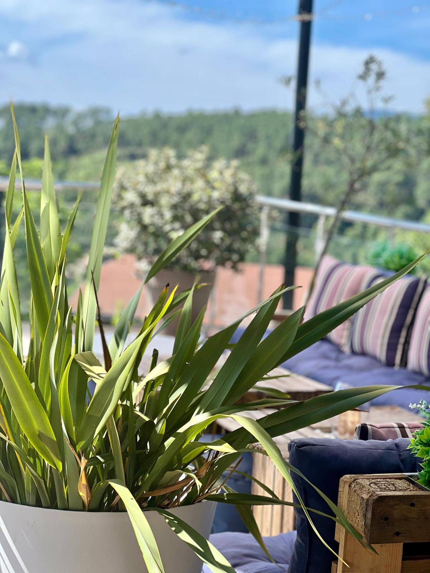 Domaine De Chalveches Hotel Spa 4* Faugeres  Luaran gambar